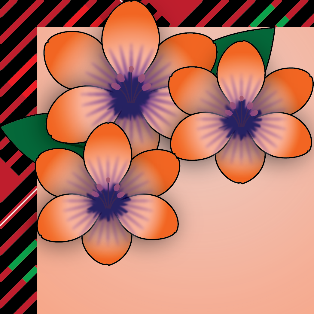 Illustrator Artwork